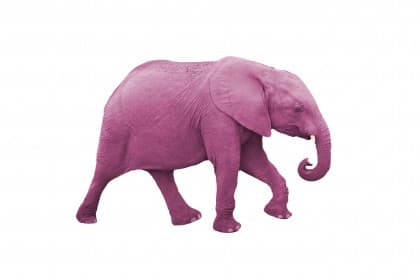 Roze olifant