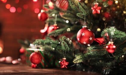Een duurzame kerstboom inkopen, maar hoe dan