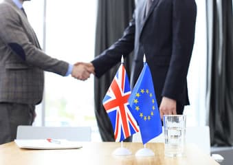 Nederlandse ondernemers verwachten te veel van handelsdeal brexit