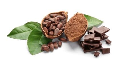 Cacaoprijzen leiden tot dure chocola in 2024