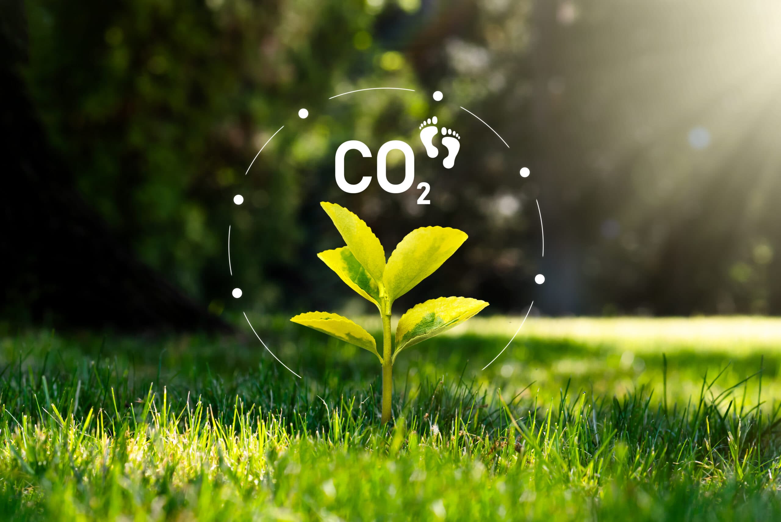 Van spend naar CO2 inzicht