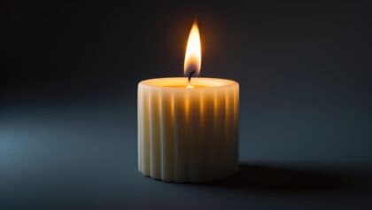 In Memoriam – Bart van Berkel